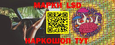 apvp Лесосибирск