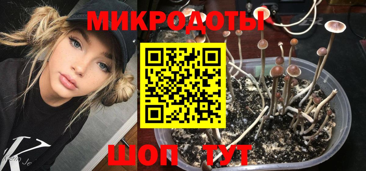Галлюциногенные грибы мицелий Химки
